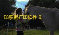 E8票据打印软件 9.84 官方版